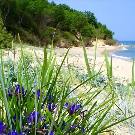 Toscana, Magical For 14+2 *